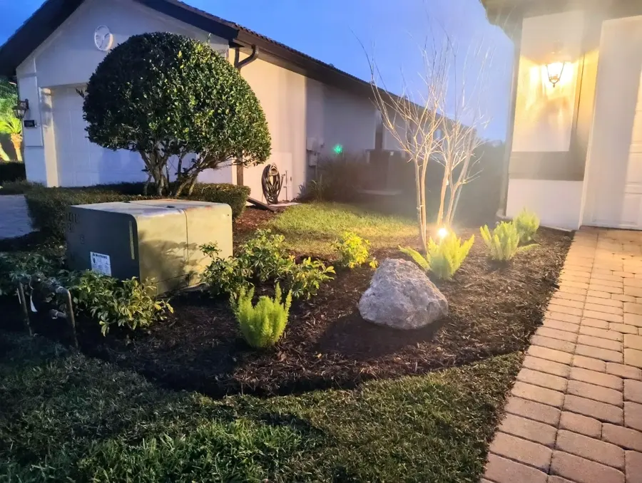 Landscape lighting glowing on a planting bed at night