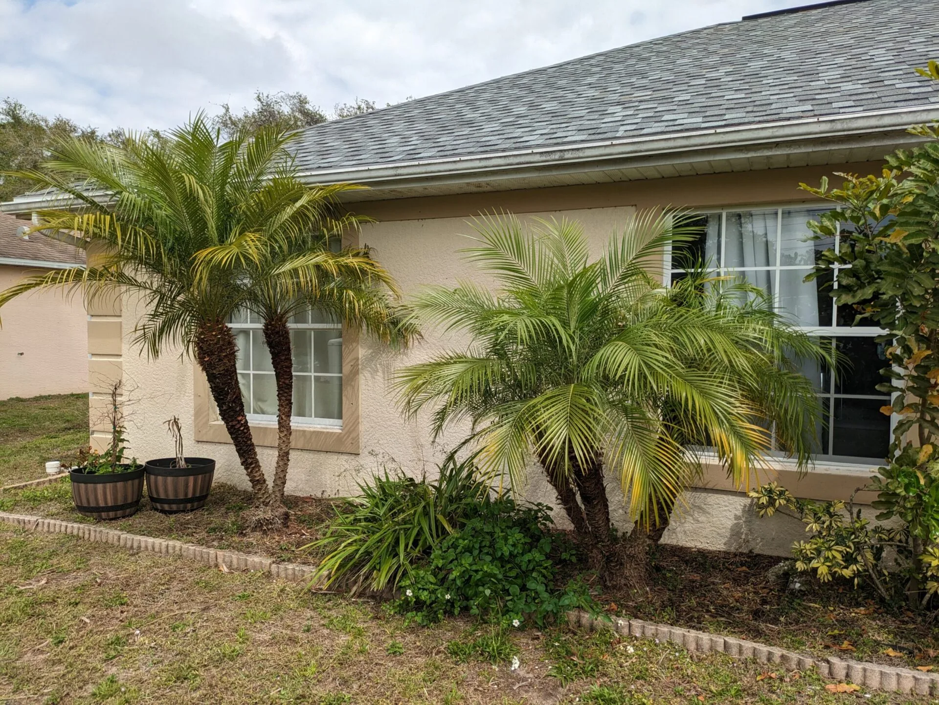 Epic Horizons tracked machine clearing brush on an overgrown Southwest Florida parcel