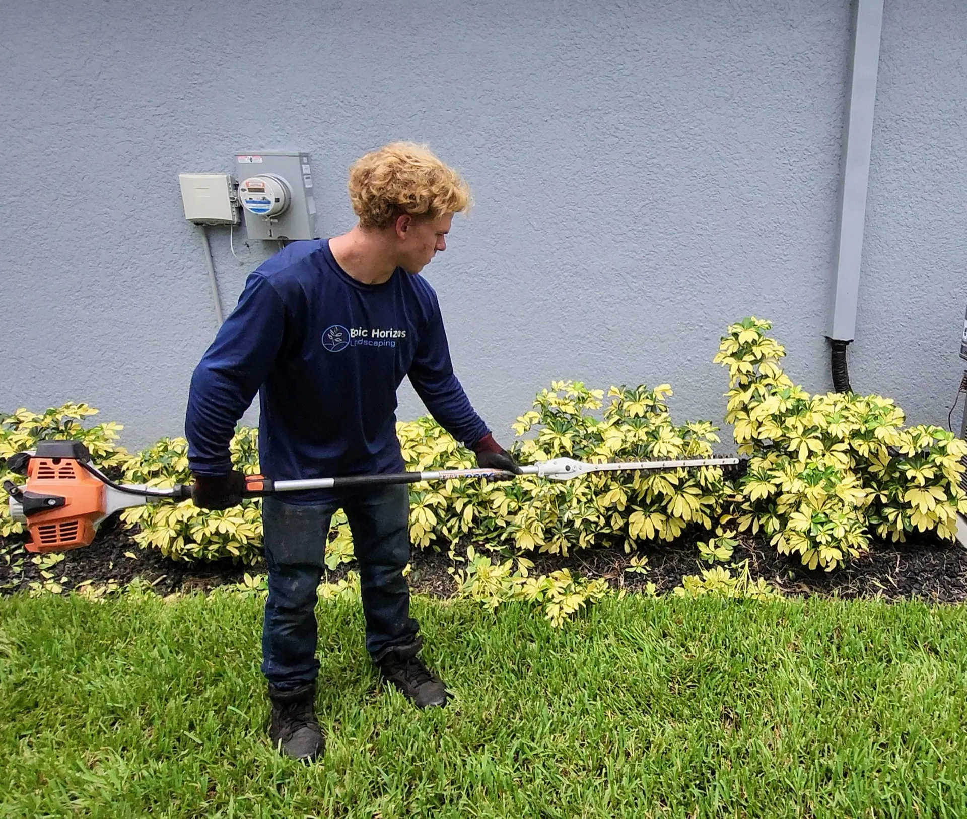 Epic Horizons worker trimming a dense schefflera hedge with a long-reach trimmer