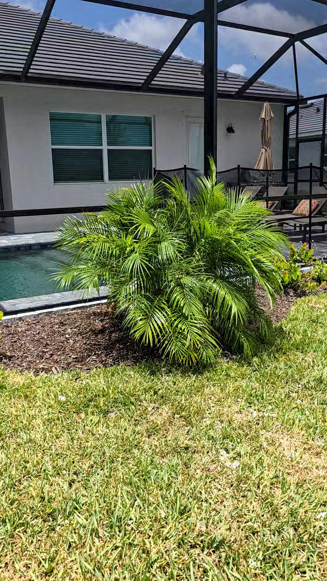 Plant Installation work in North Port