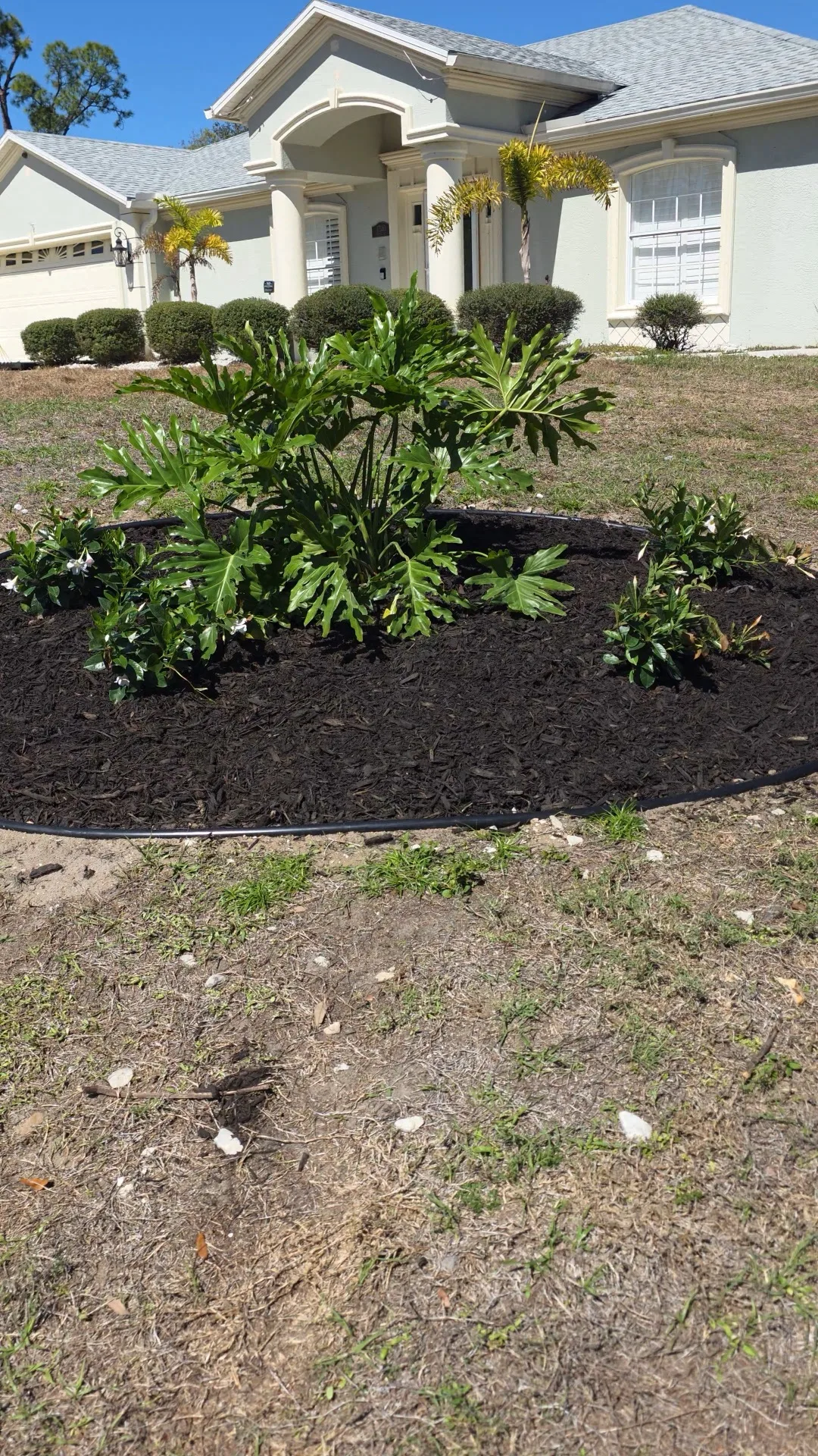 Rock bed with tropical plants and plastic edging