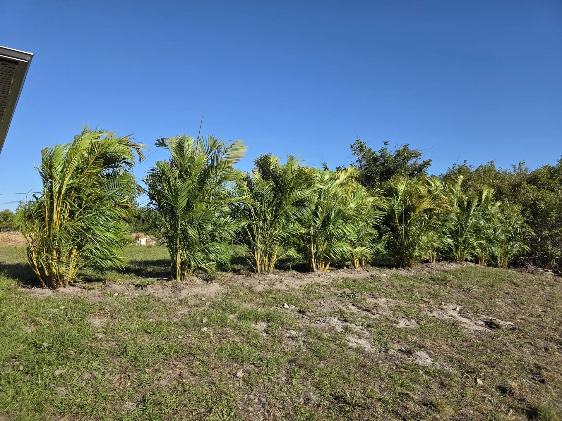 Cleared and graded lot ready for construction