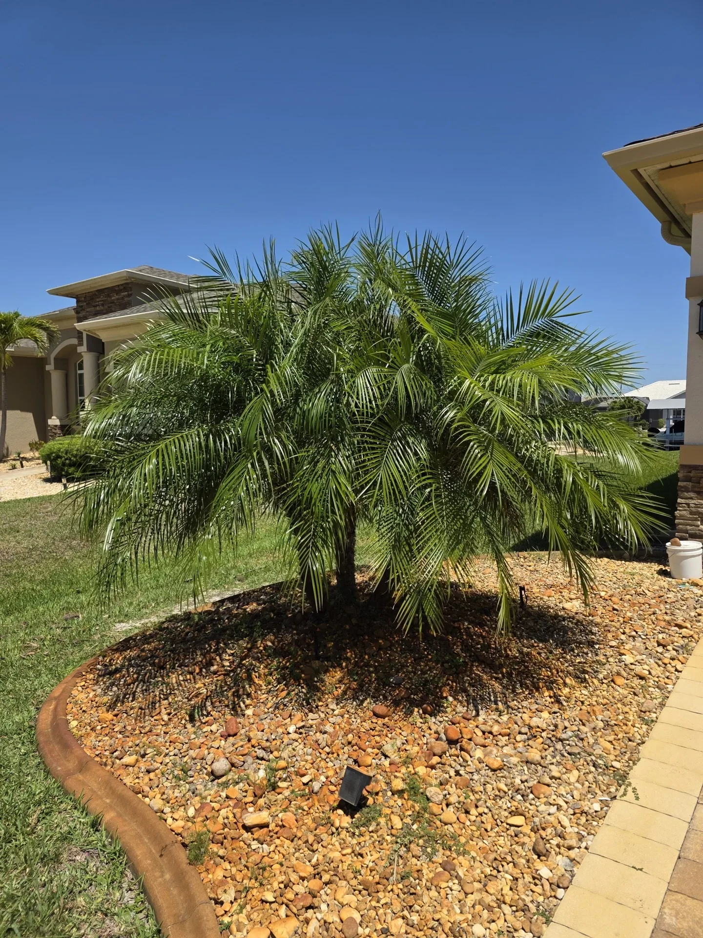 Completed rock mulch landscape with boulders, river rock, and plants