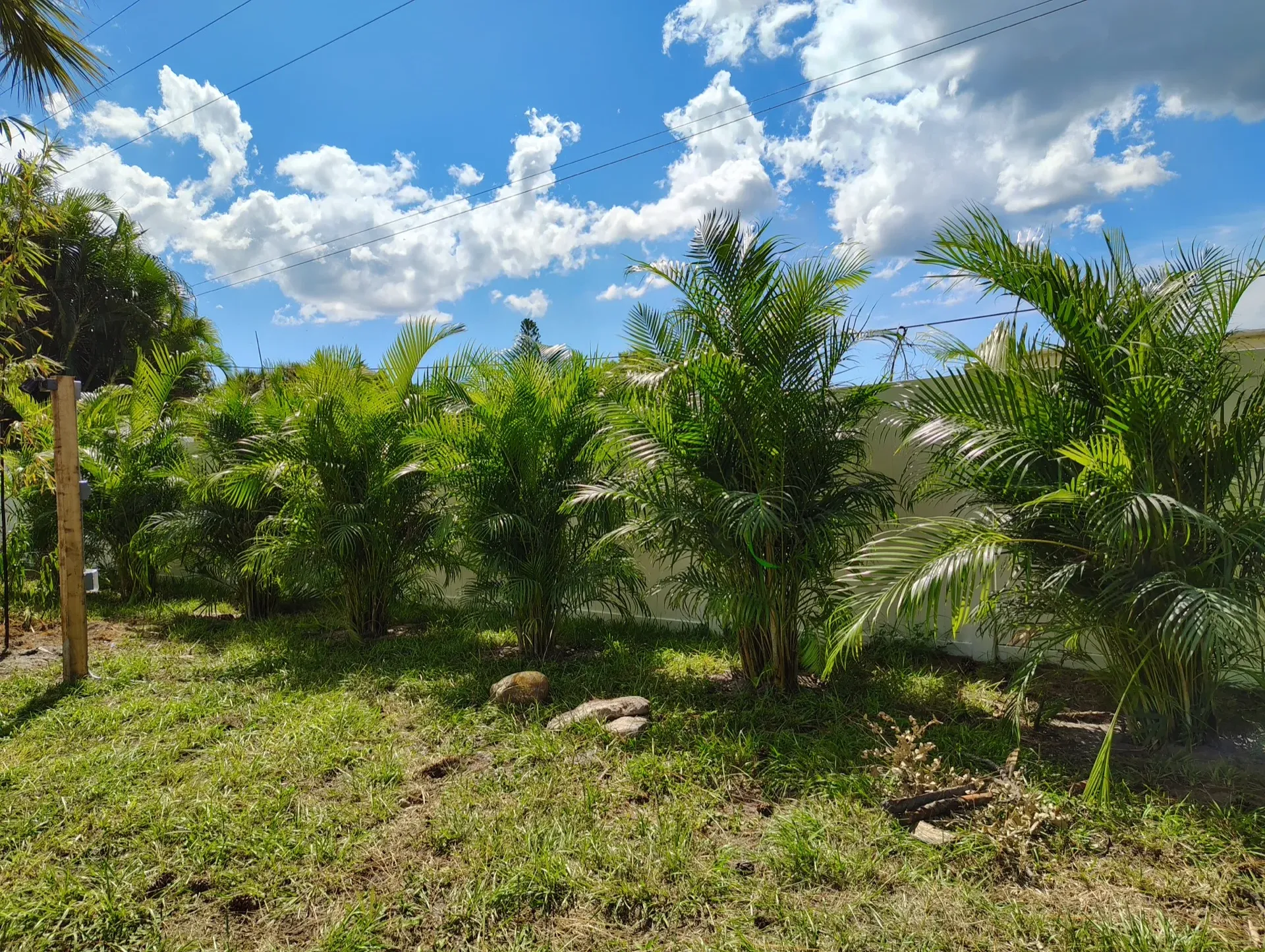 Lawn Care work in Nokomis