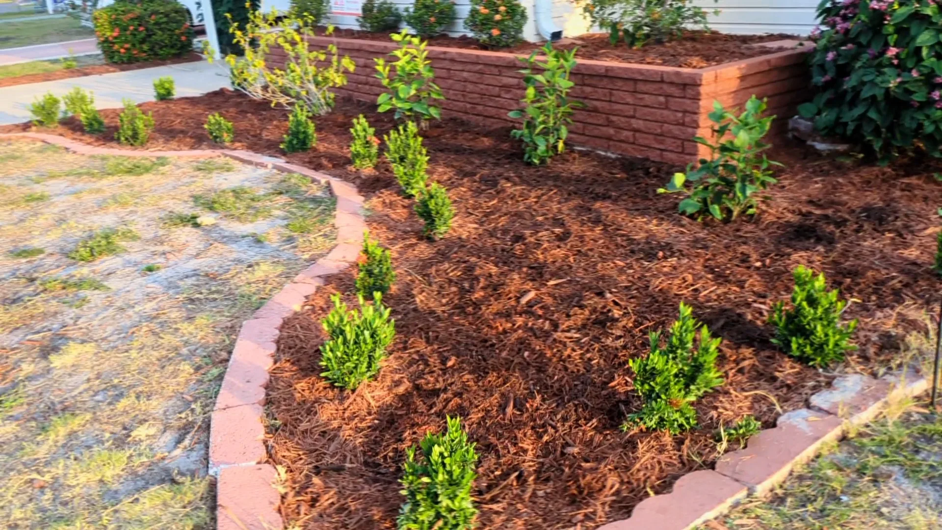 Plant redesign with tropical varieties at Venice FL home