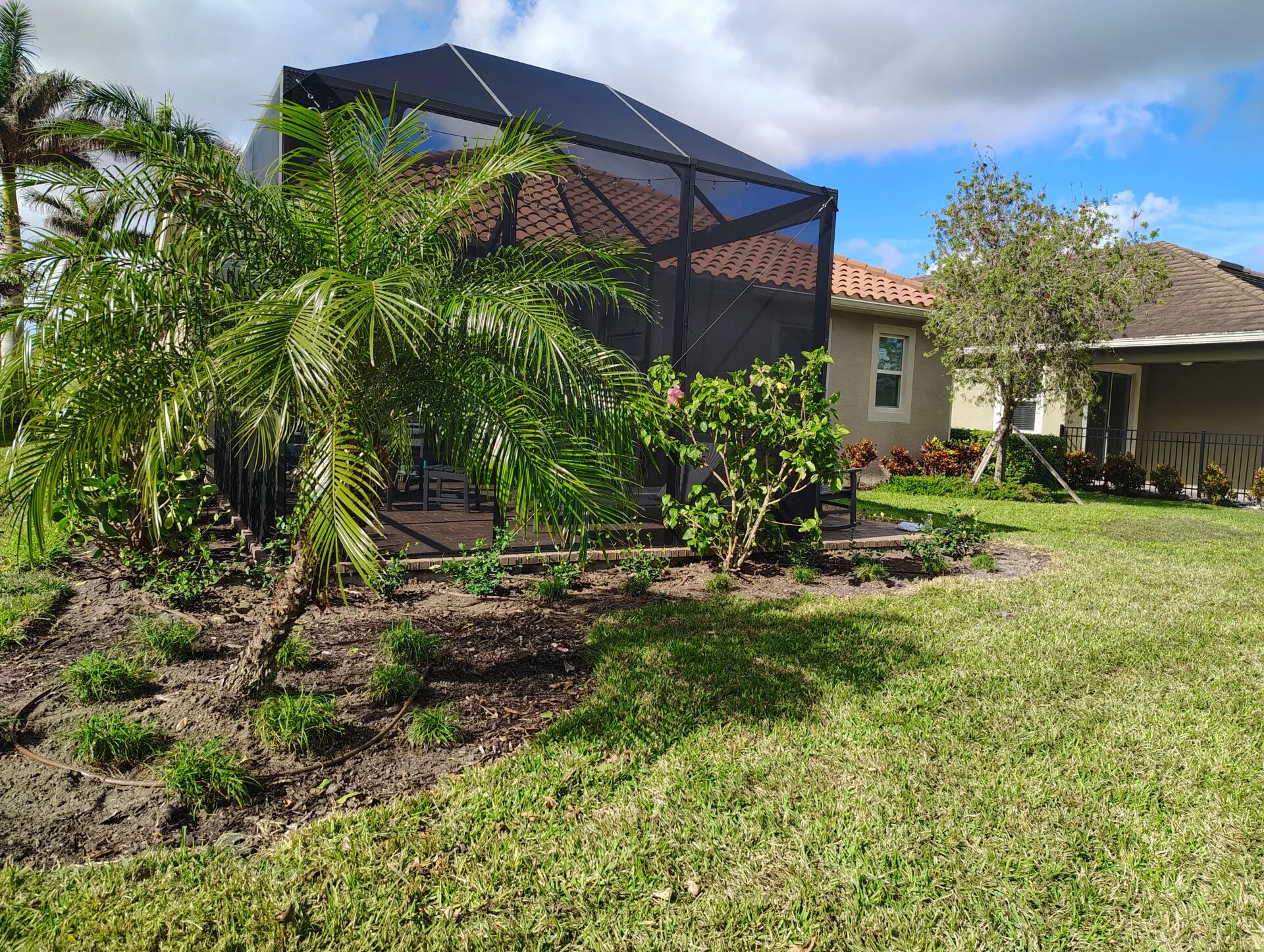Replanted tropical bed with fresh mulch along a pool screen enclosure