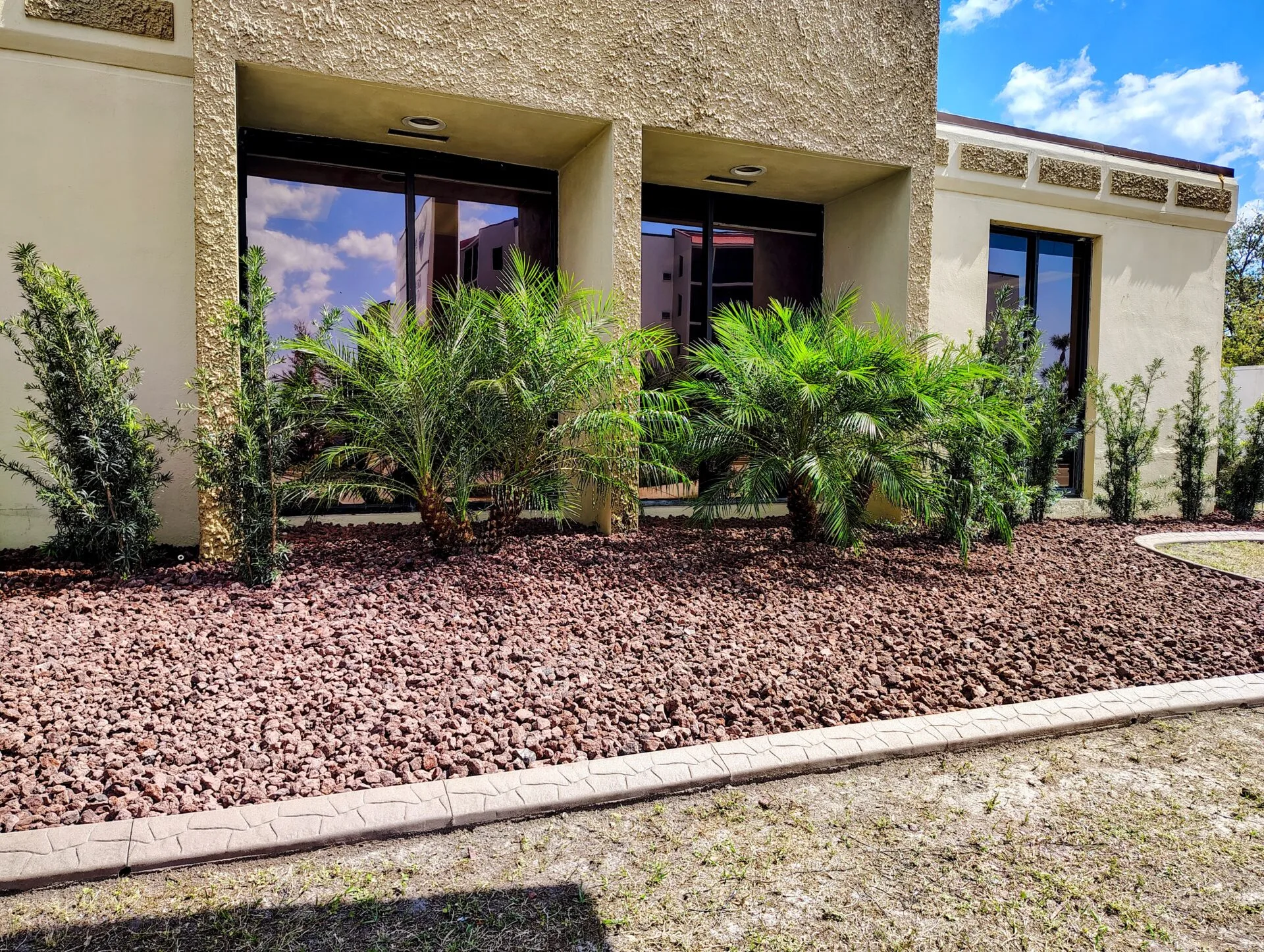 Tropical palms and shrubs freshly planted in a red rock mulch bed