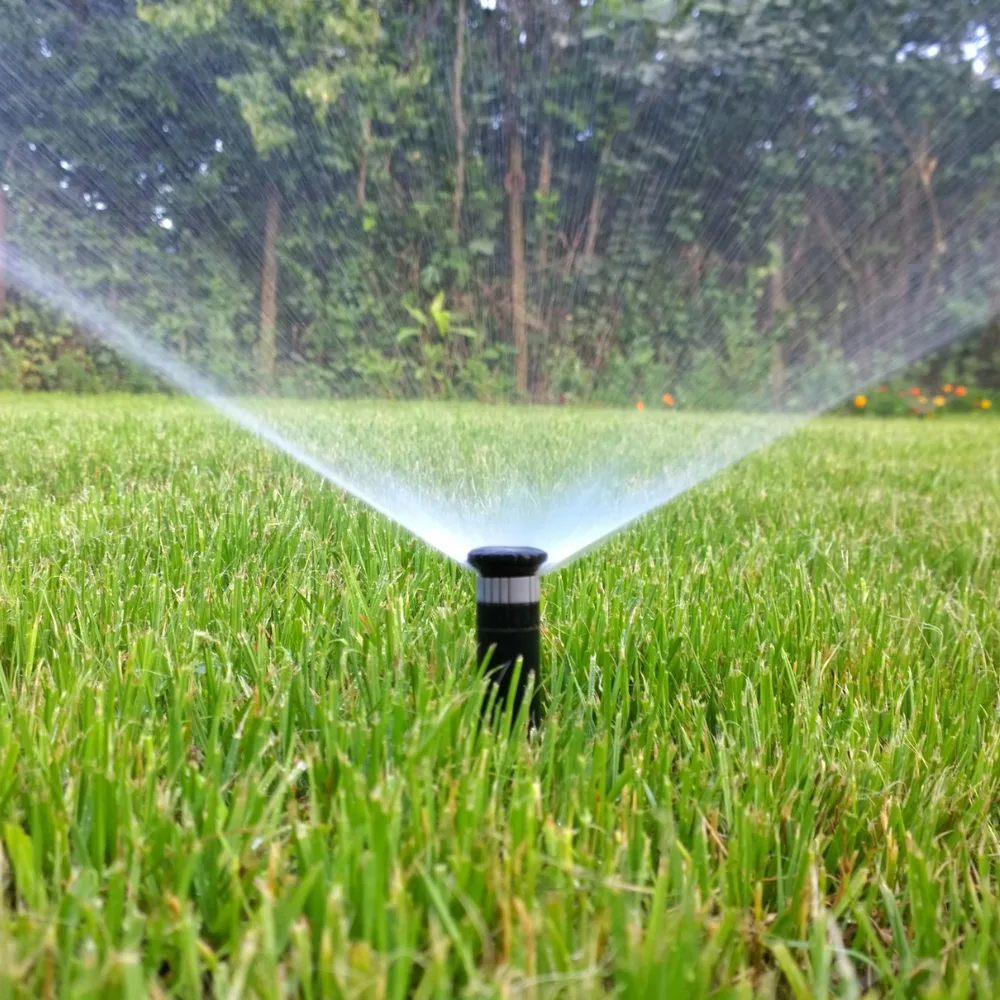 Irrigation system in Southwest Florida