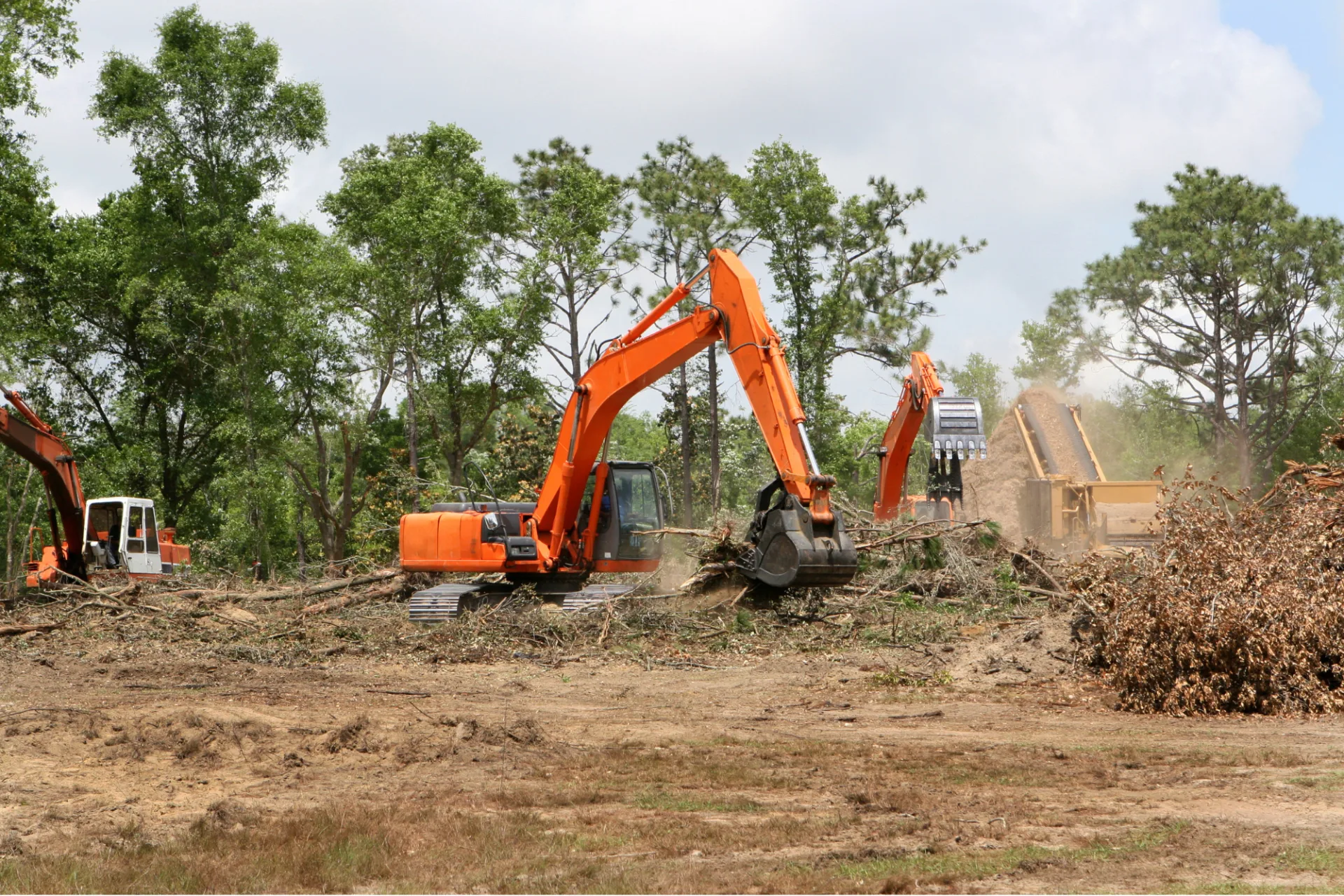 Commercial land clearing in North Port FL clearing overgrown abandoned lot with wild palms and debris