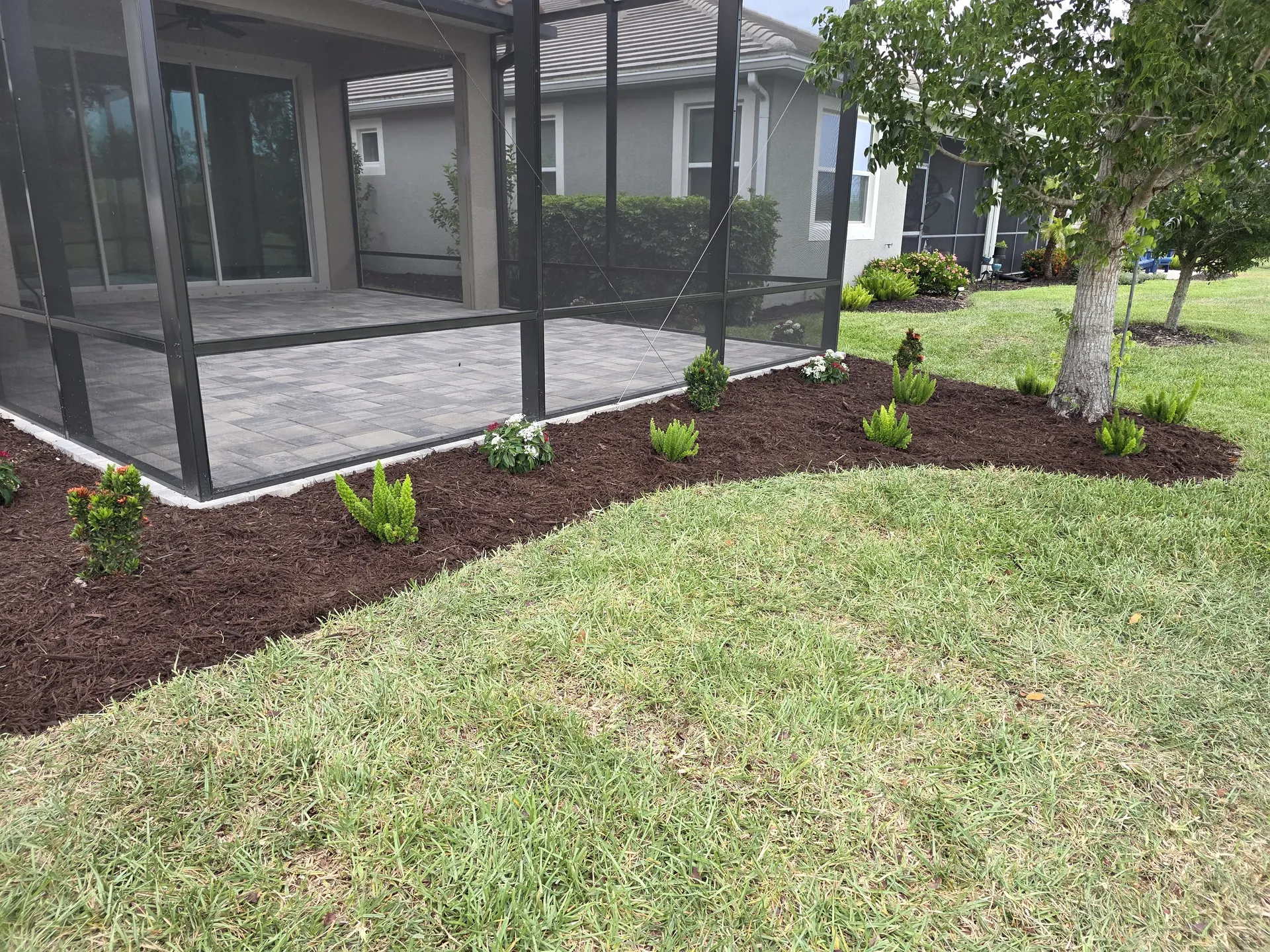 Renovated mulch planting bed with new shrubs beside a screened lanai
