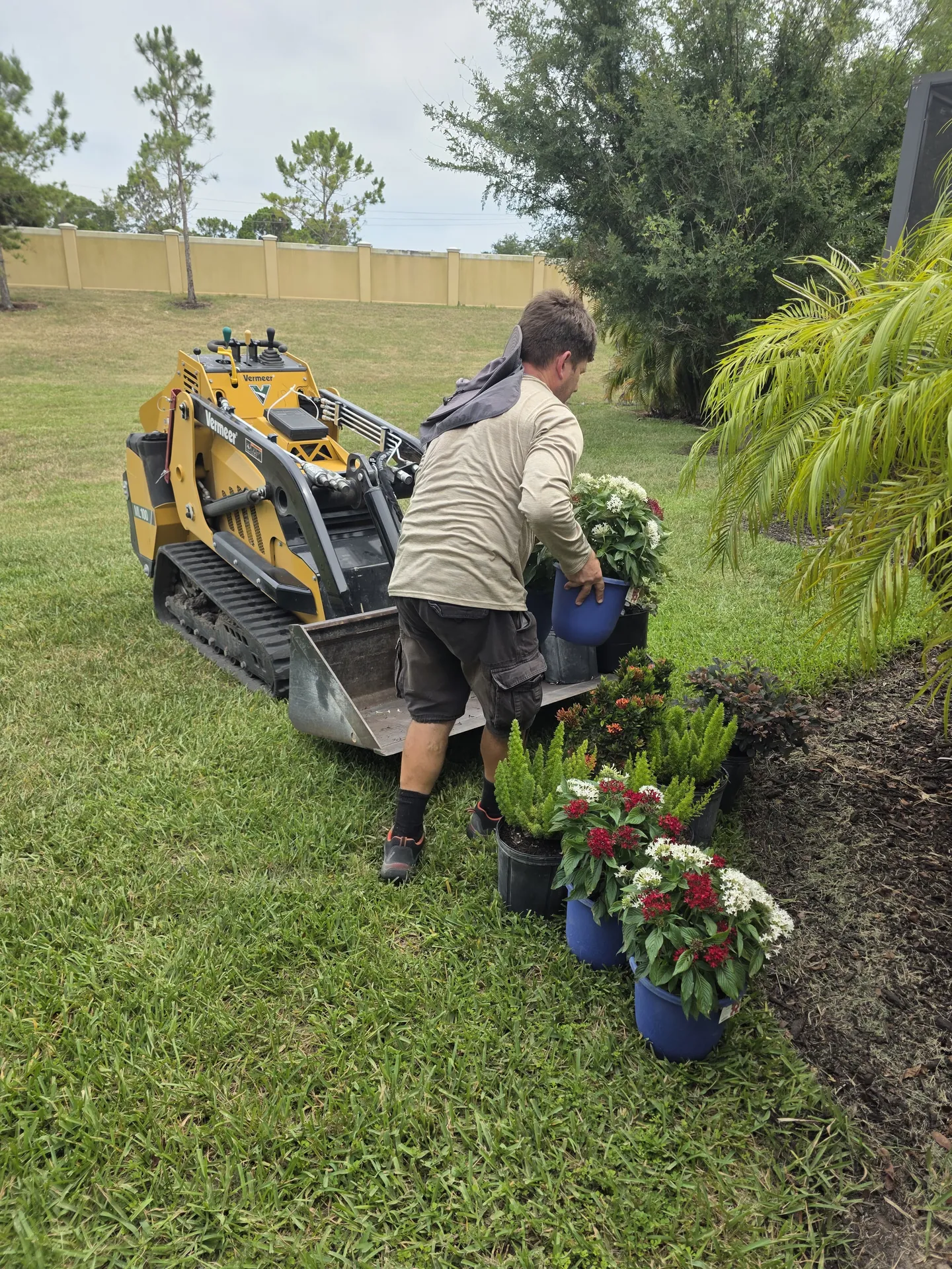 Landscaper loading new flowering plants onto a mini skid steer for a rock bed overhaul