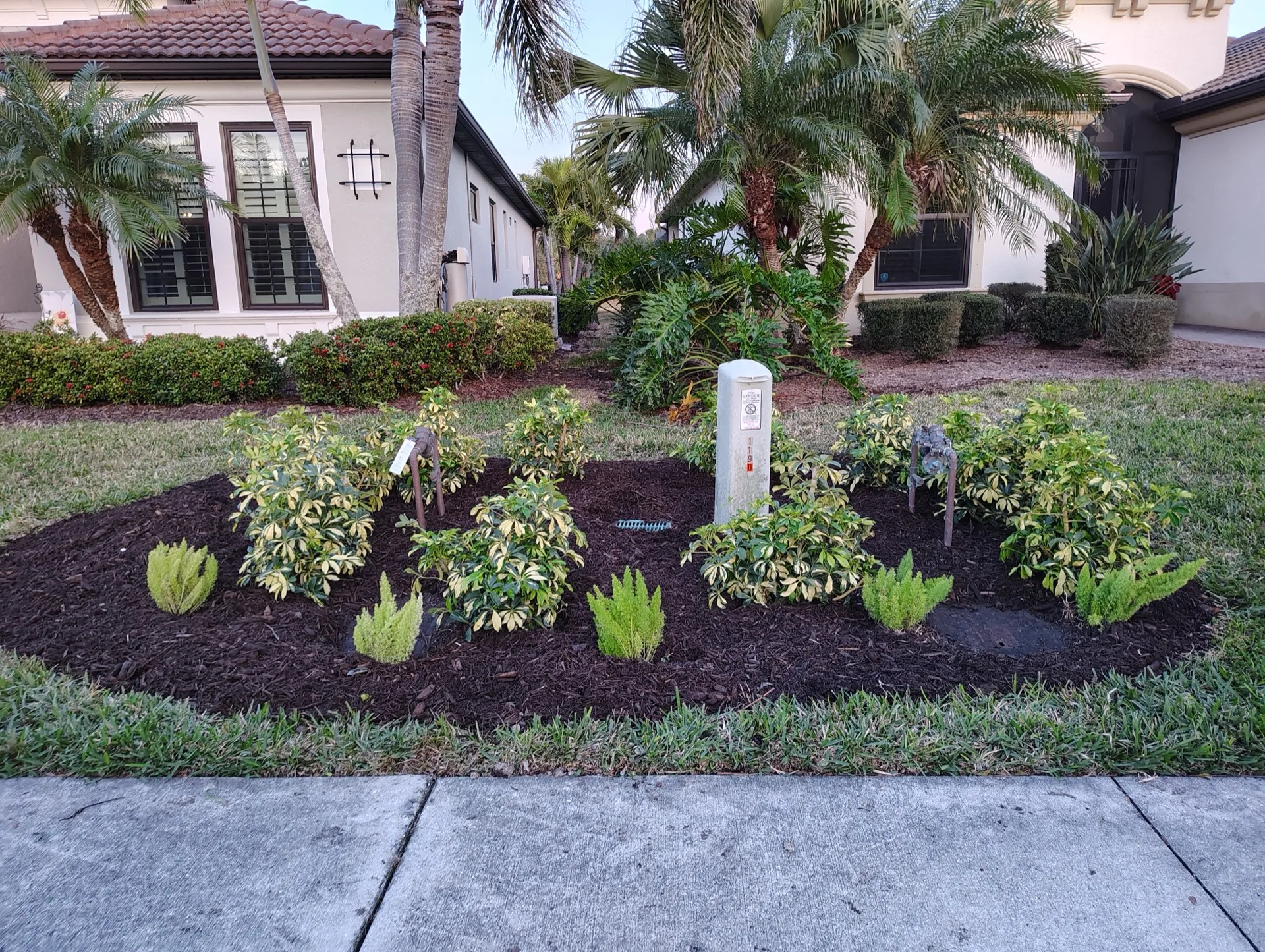 Full landscaping design in Southwest Florida