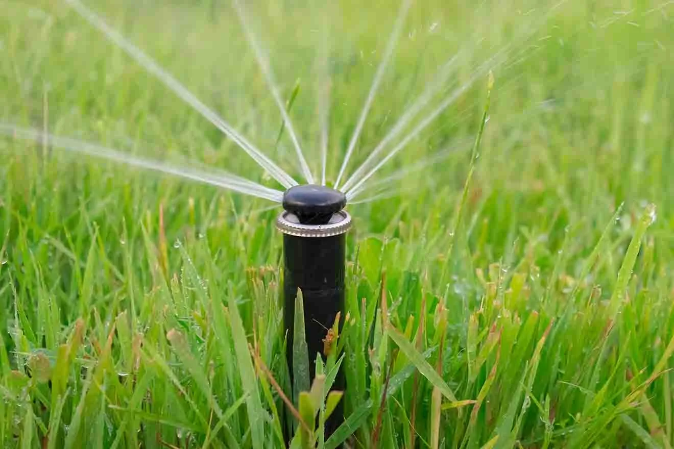 Multi-stream sprinkler head installed and watering a Venice yard zone