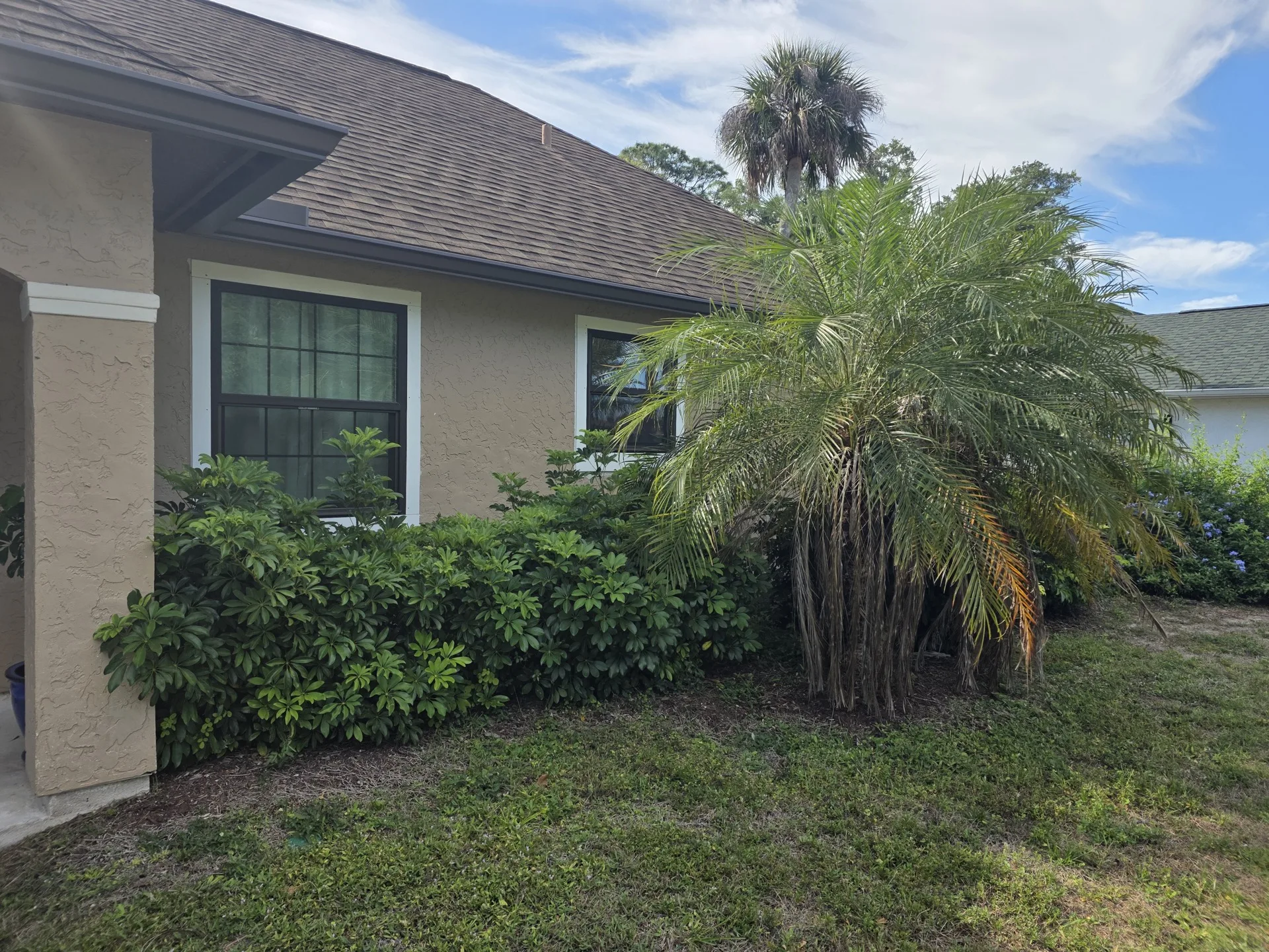 Overgrown front yard before landscaping — North Port, FL