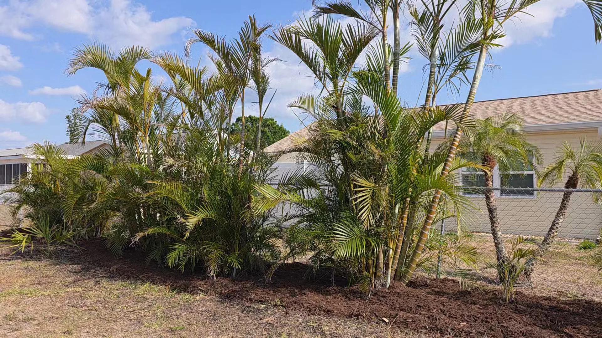 Plants and materials being staged for landscaping installation