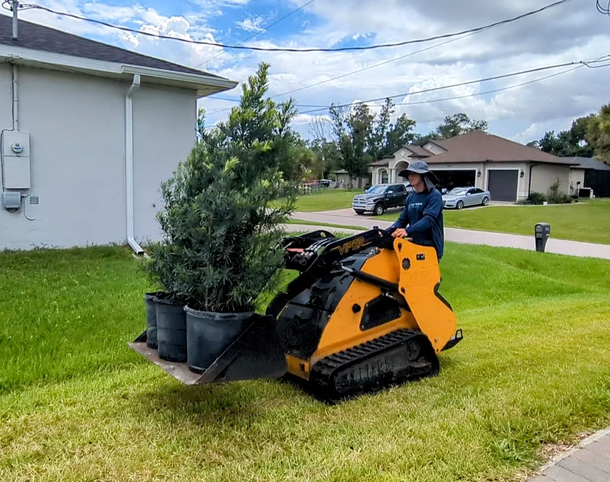 Epic Horizons worker moving large potted trees with a skid steer for a plant installation in Port Charlotte