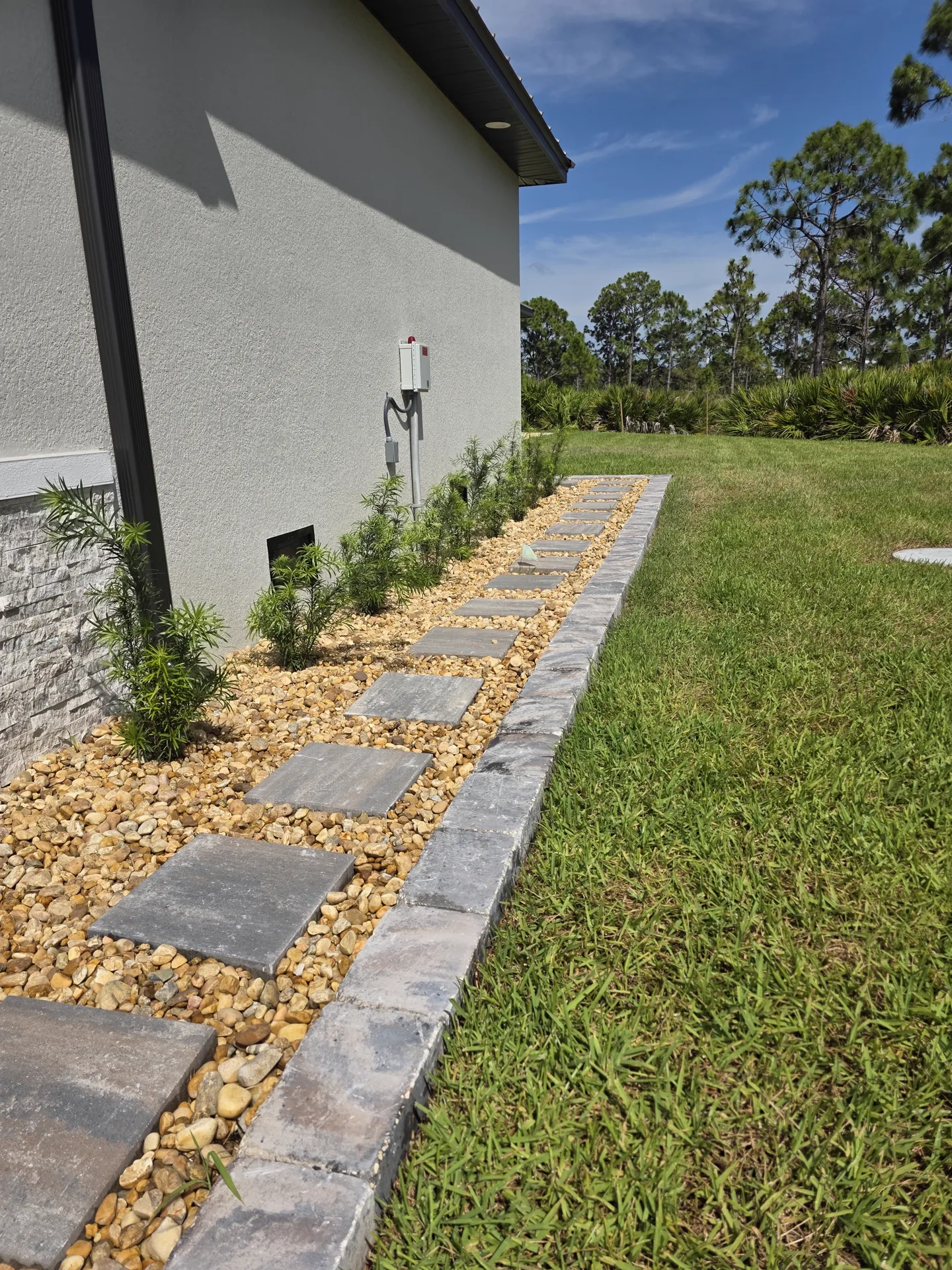 Gray square stepping stones in a tan river rock side-yard bed with young podocarpus, edged with a paver soldier course beside a stucco home