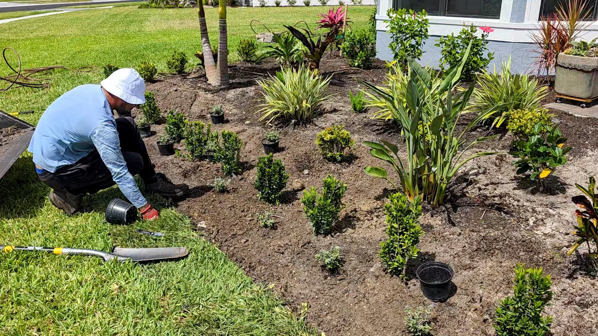 Plant installation in Southwest Florida