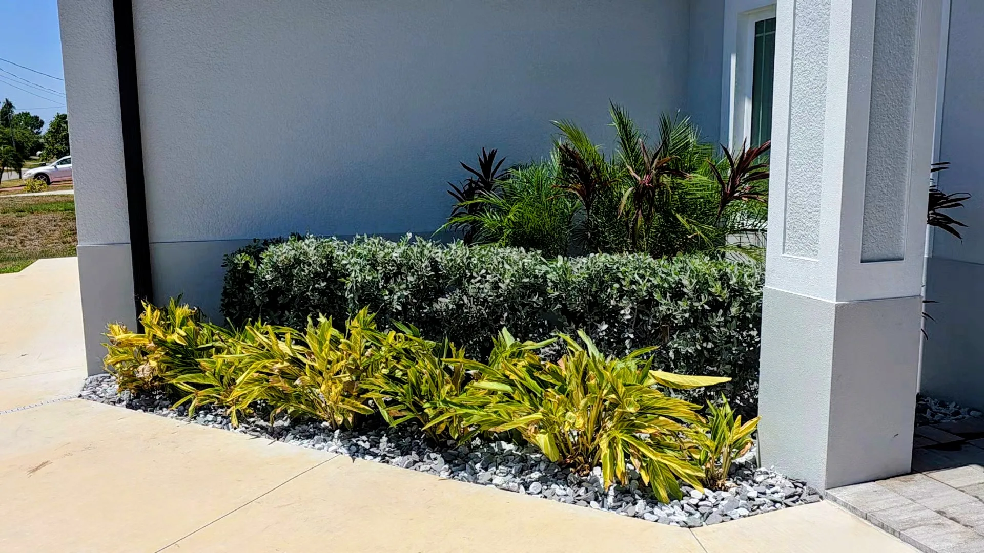 Tropical plant bed installation with cordylines and silver buttonwood against modern stucco home — North Port FL