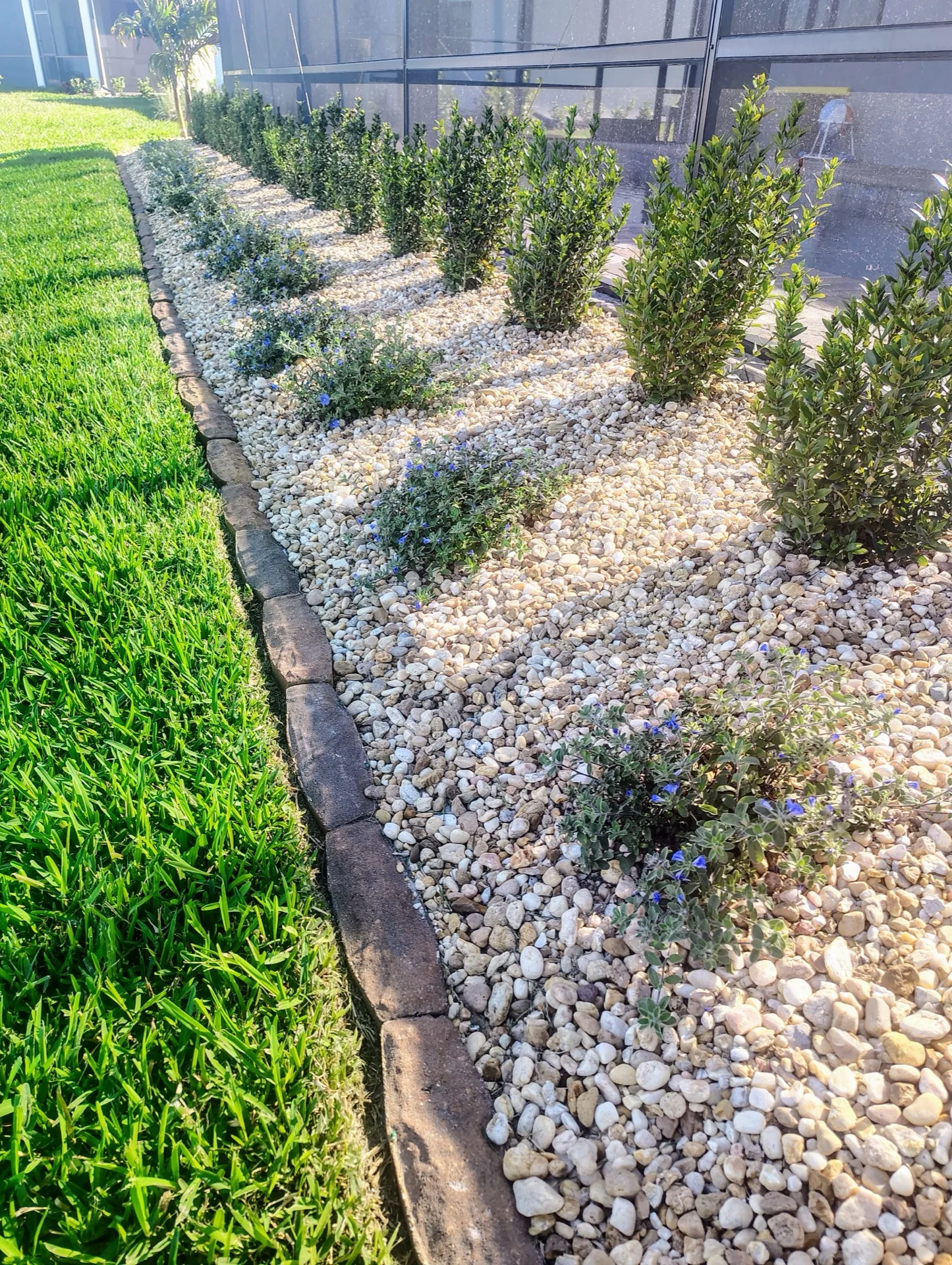 Yard being assessed and measured before landscaping