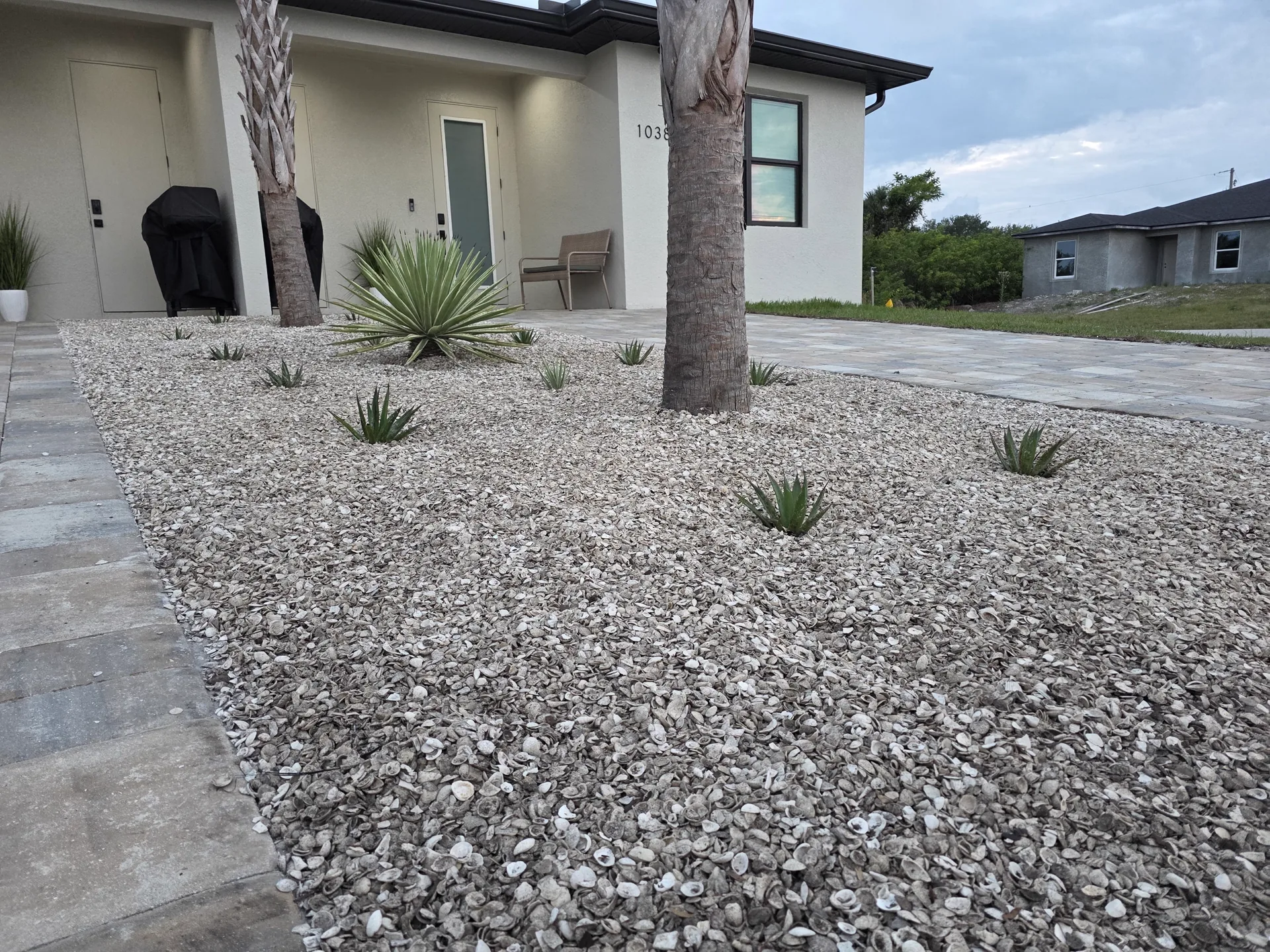 Front yard landscaped entirely in crushed shell rock with agave and aloe plantings around two palms, beside a paver walkway in Southwest Florida
