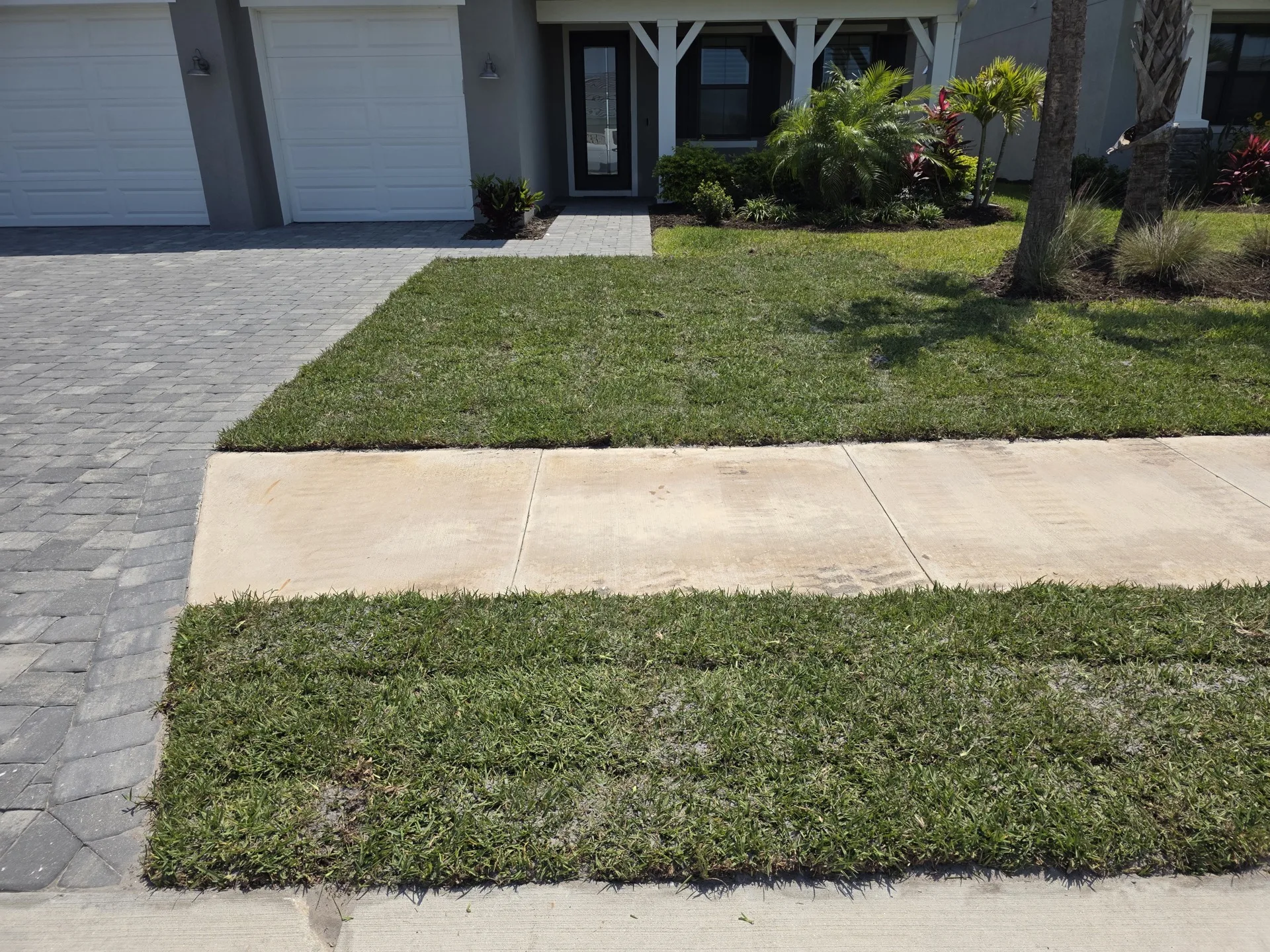 Lush green lawn after drainage system installation and grading work