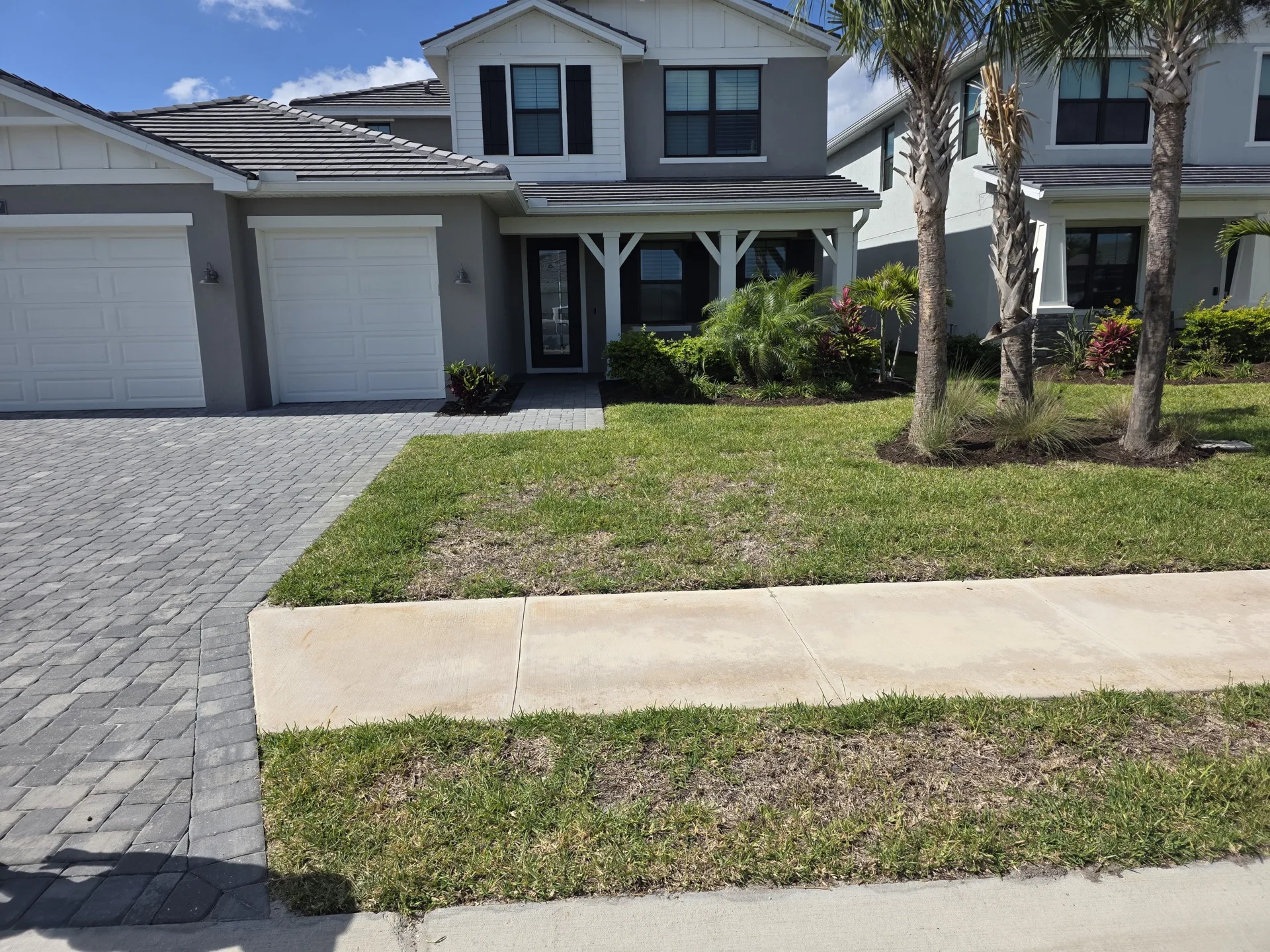 Dead patchy lawn before drainage correction and re-grading work