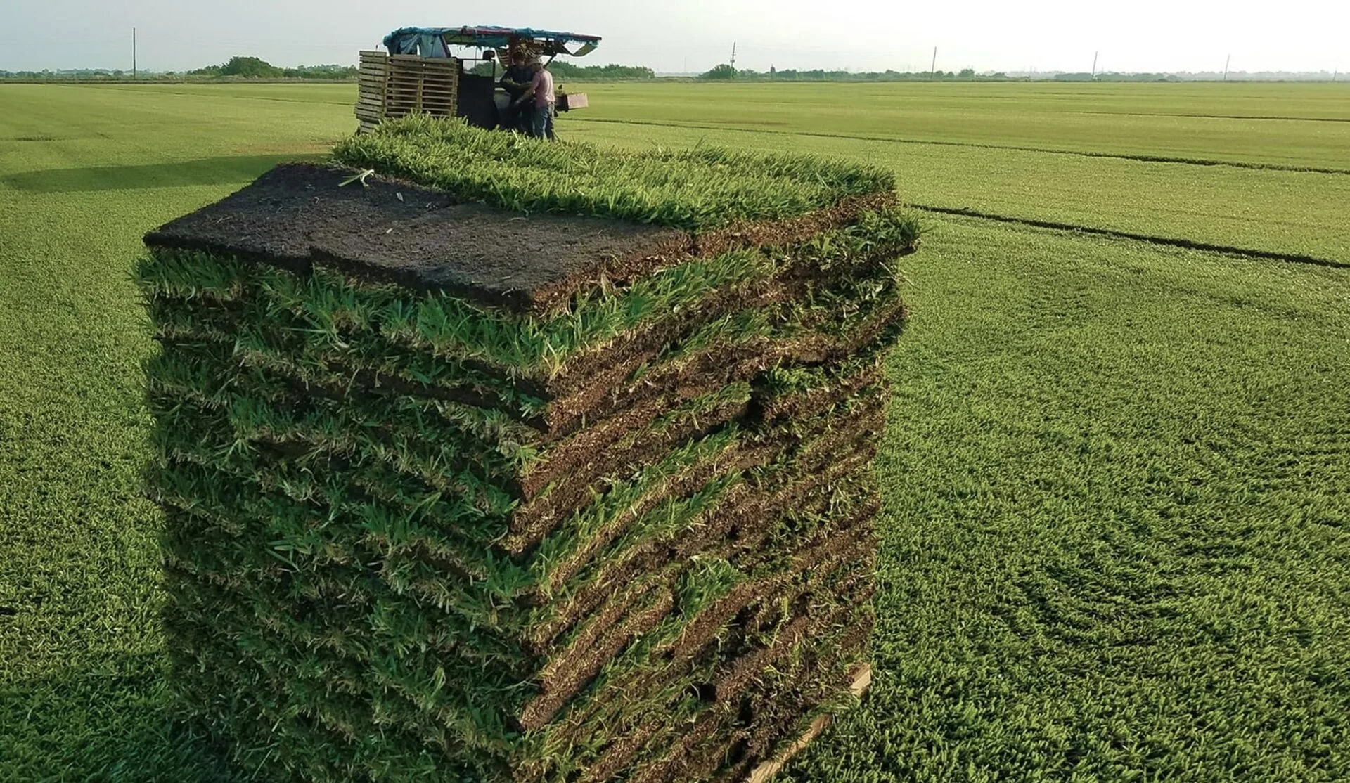 St. Augustine sod pallet ready for installation in Southwest Florida