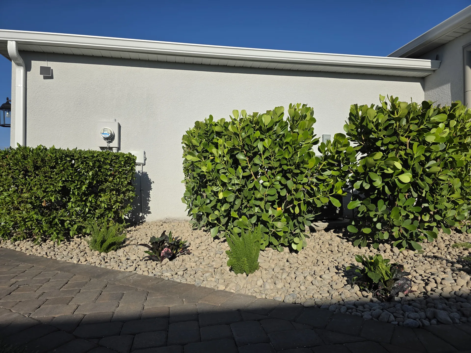 Lanai landscape with rock beds, paver walkway, and trimmed tropical plants