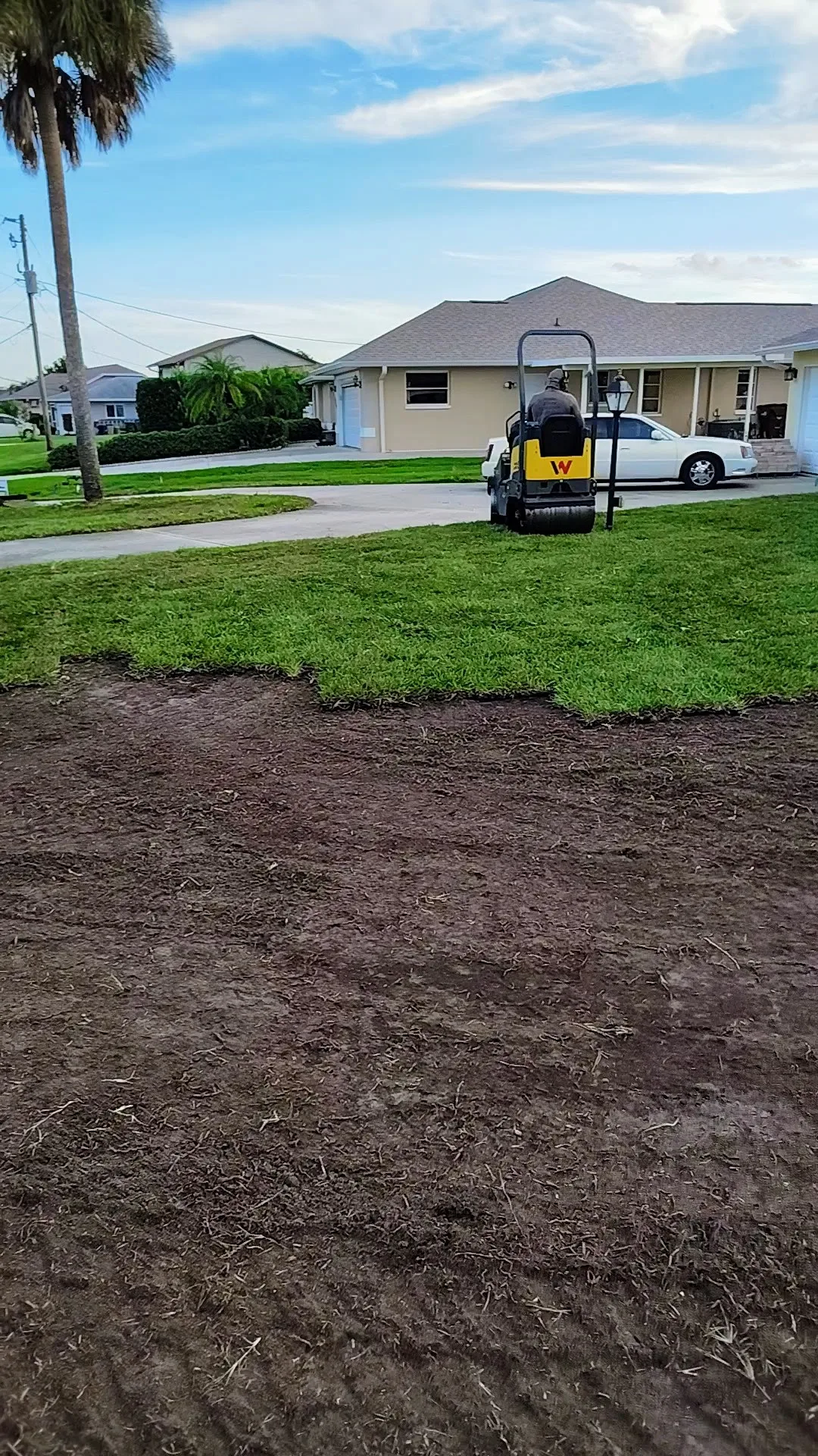 Skid steer clearing in tight tree-lined area