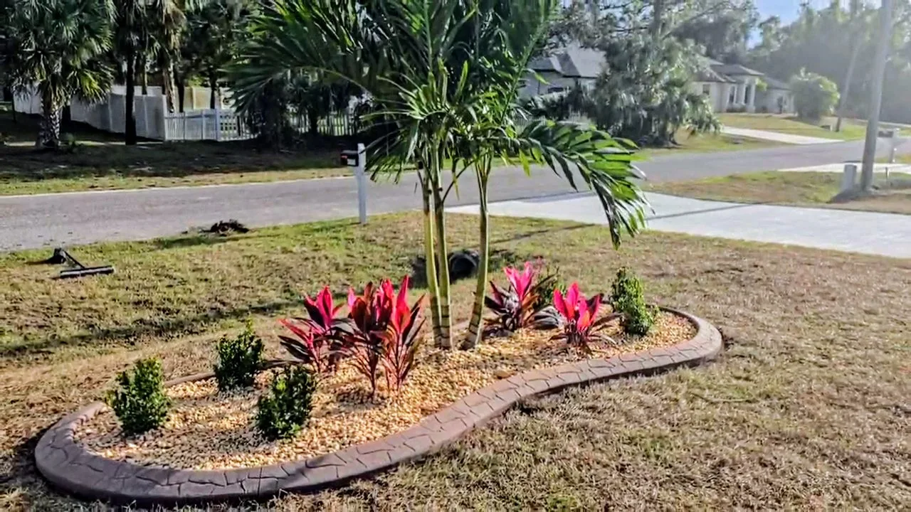 Landscaping island bed with red bromeliads, areca palms, and concrete curbing — North Port FL