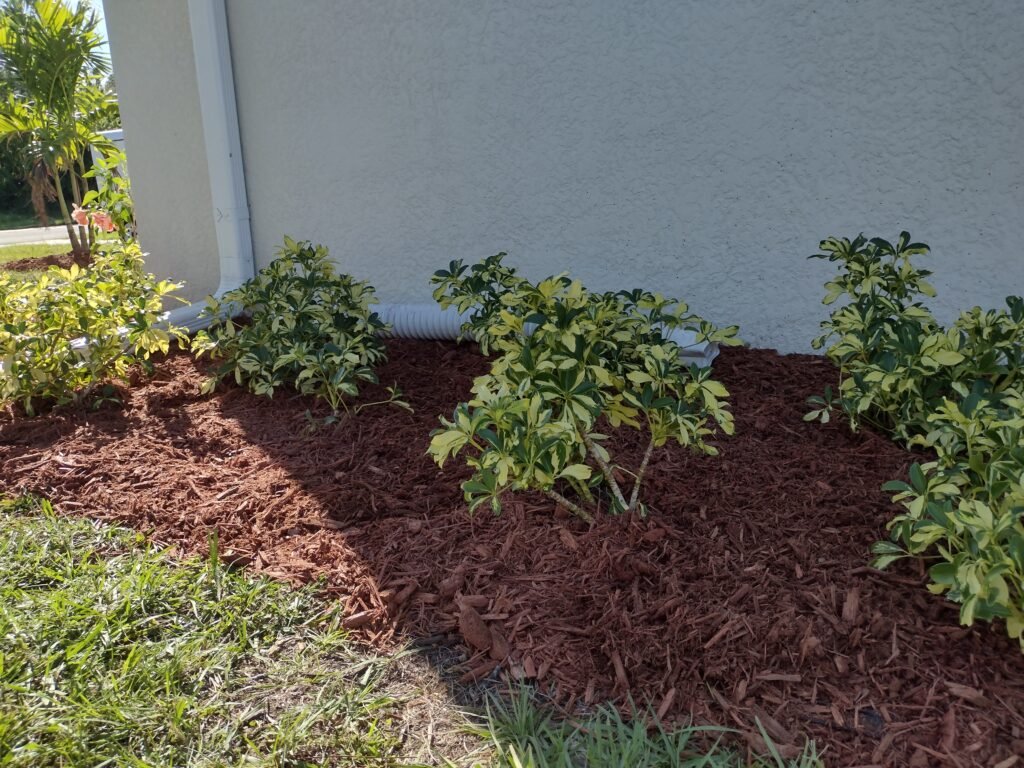 landscaping in port charlotte