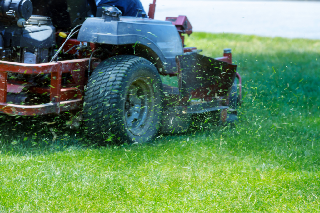 lawn care in north port