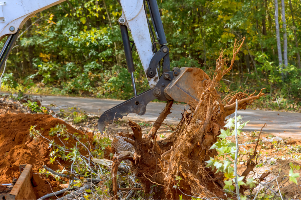 land clearing in north port