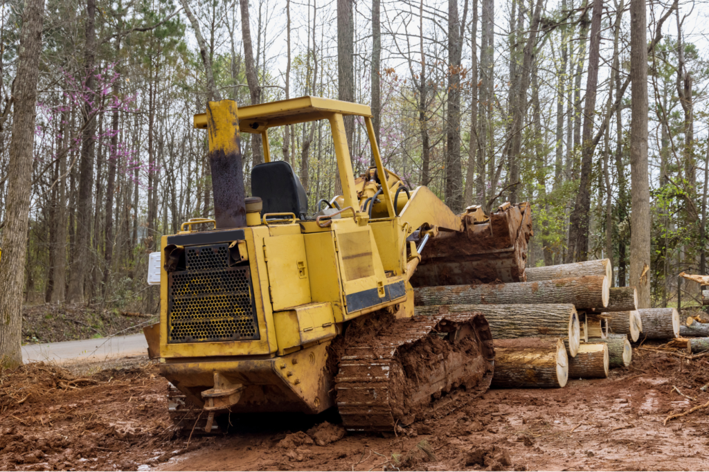 land clearing north port