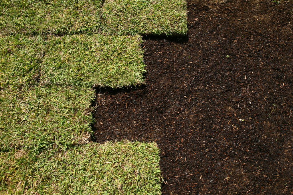 Professional Landscaping in North Port, Venice, Port Charlotte and Englewood