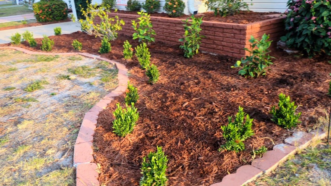 landscape renovation