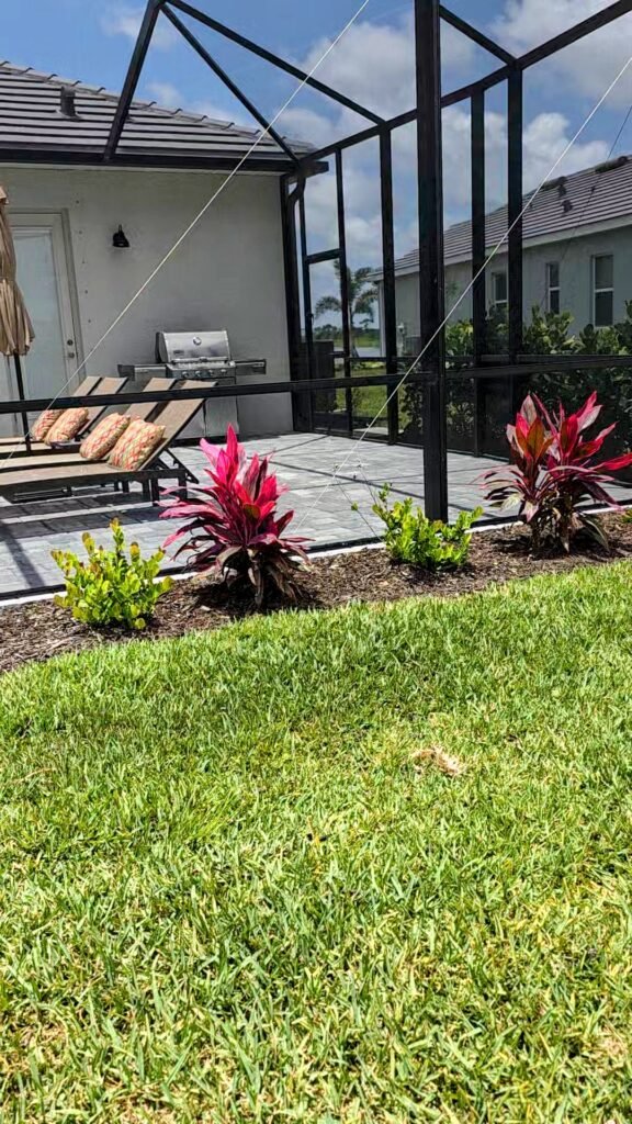 Professional Plant Installation in North Port, Venice, Port Charlotte and Englewood