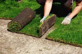 Professional Sod Installation in North Port, Venice, Port Charlotte and Englewood