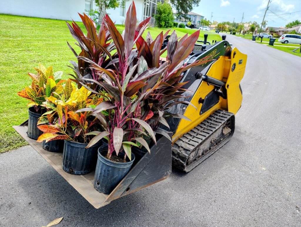 Professional Landscape Renovation in North Port, Venice, Port Charlotte and Englewood